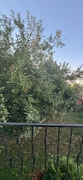 Dobroesti apropiere lac